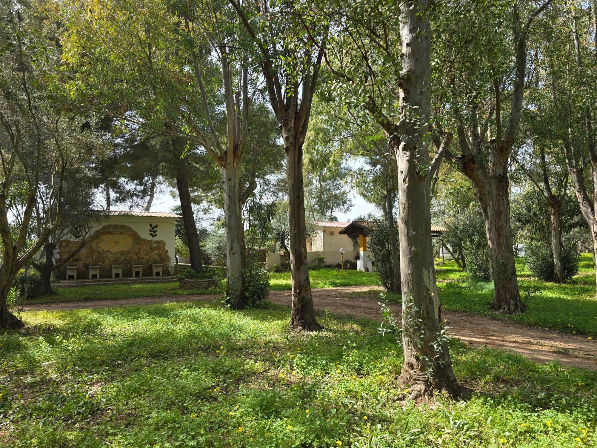Village Camping Fico D'India Ovile la Marina Exterior foto